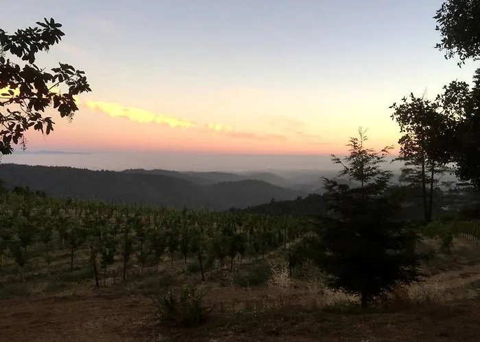 Lotus Yurt In Vineyard Overlooking Monterey Bay Near Los Gatos, California